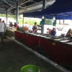 IMG_0595