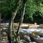 sungai-sedim-07