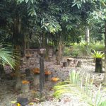 tempat riadah