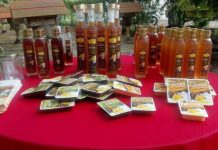 Madu Kelulut Dan Sabun Madu KelulutAzhika As Syifa