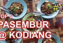 TOP 5 PASEMBUR @ KODIANG, KEDAH #1