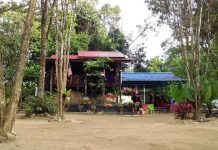 Damai D’ Lubuk Badak