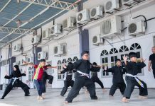 Persatuan Seni Silat Gayong Malaysia, Perlis
